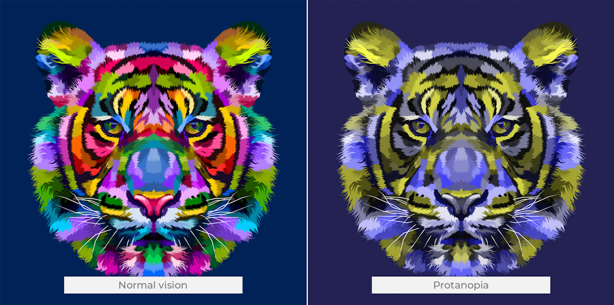 Normal vision comparision