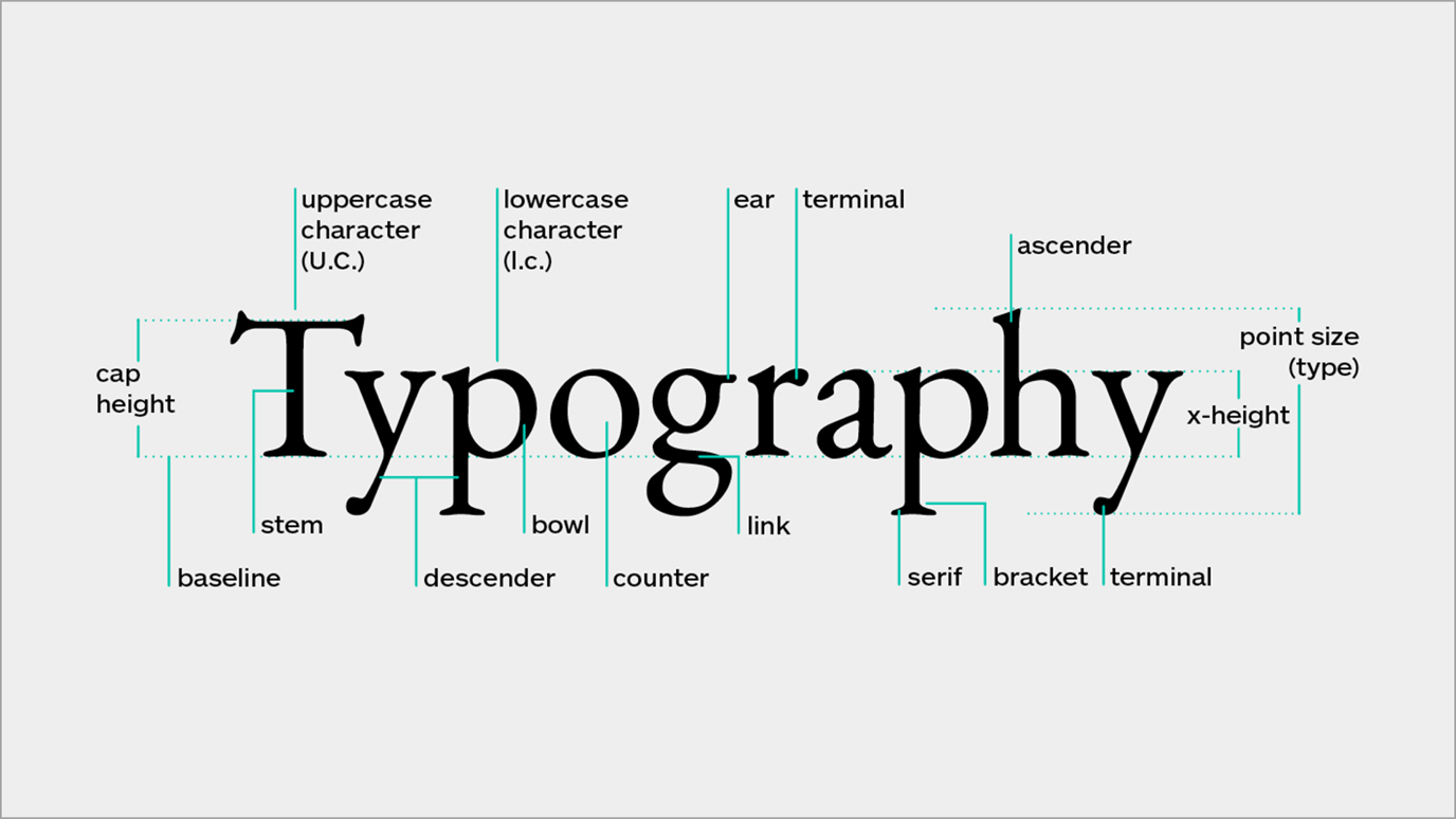 Anatomy of typography