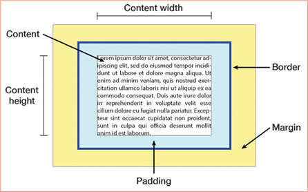 CSS Box Model